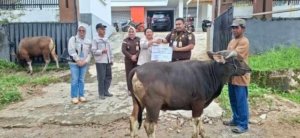 PT COR Group Salurkan 12 Ekor Sapi Kurban untuk Masyarakat dan Mitra di Morowali Utara