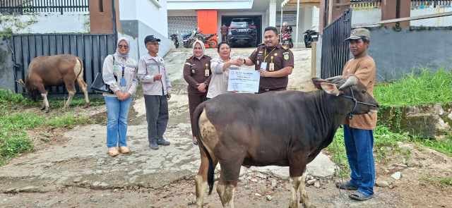 PT COR Group Salurkan 12 Ekor Sapi Kurban untuk Masyarakat dan Mitra di Morowali Utara