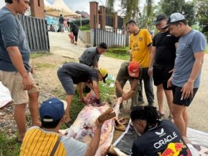 Kejari Morowali Utara Sembelih 3 Ekor Sapi Kurban, Bagikan Daging kepada Warga