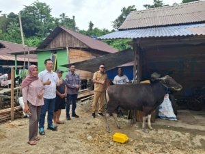 Momentum Idul Adha, Trinusa Group Salurkan Puluhan Hewan Kurban di Morowali Utara hingga Kota Palu
