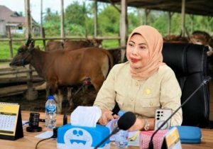 Pejabat dengan Jumlah Hewan Kurban Terbanyak di Sulteng. Hj. Warda Dg Mamala Total Sumbang 26 Ekor Sapi