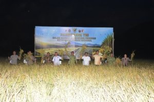 Danrem 132/Tadulako Bersama Pangdam XXIII/Palakawira Hadiri Panen Raya TNI, Perkuat Ketahanan Pangan Nasional
