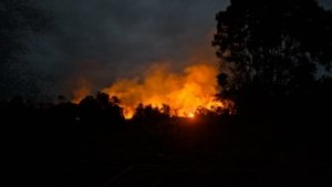 BREAKING NEWS: Kebakaran Lahan Terjadi di Belakang SMA 1 Beteleme, Petugas Berjibaku Padamkan Api