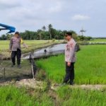 Tak Hanya Menjaga Kamtibmas, Polsek Bumi Raya Polres Morowali Turun Bantu Petani
