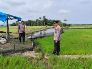 Tak Hanya Menjaga Kamtibmas, Polsek Bumi Raya Polres Morowali Turun Bantu Petani