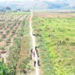 PT SJA2 Gelar Patroli Bersama KPH Sinmar Poso dan Babinkamtibmas Cegah Karhutla