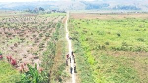 PT SJA2 Gelar Patroli Bersama KPH Sinmar Poso dan Babinkamtibmas Cegah Karhutla