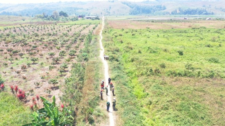 PT SJA2 Gelar Patroli Bersama KPH Sinmar Poso dan Babinkamtibmas Cegah Karhutla