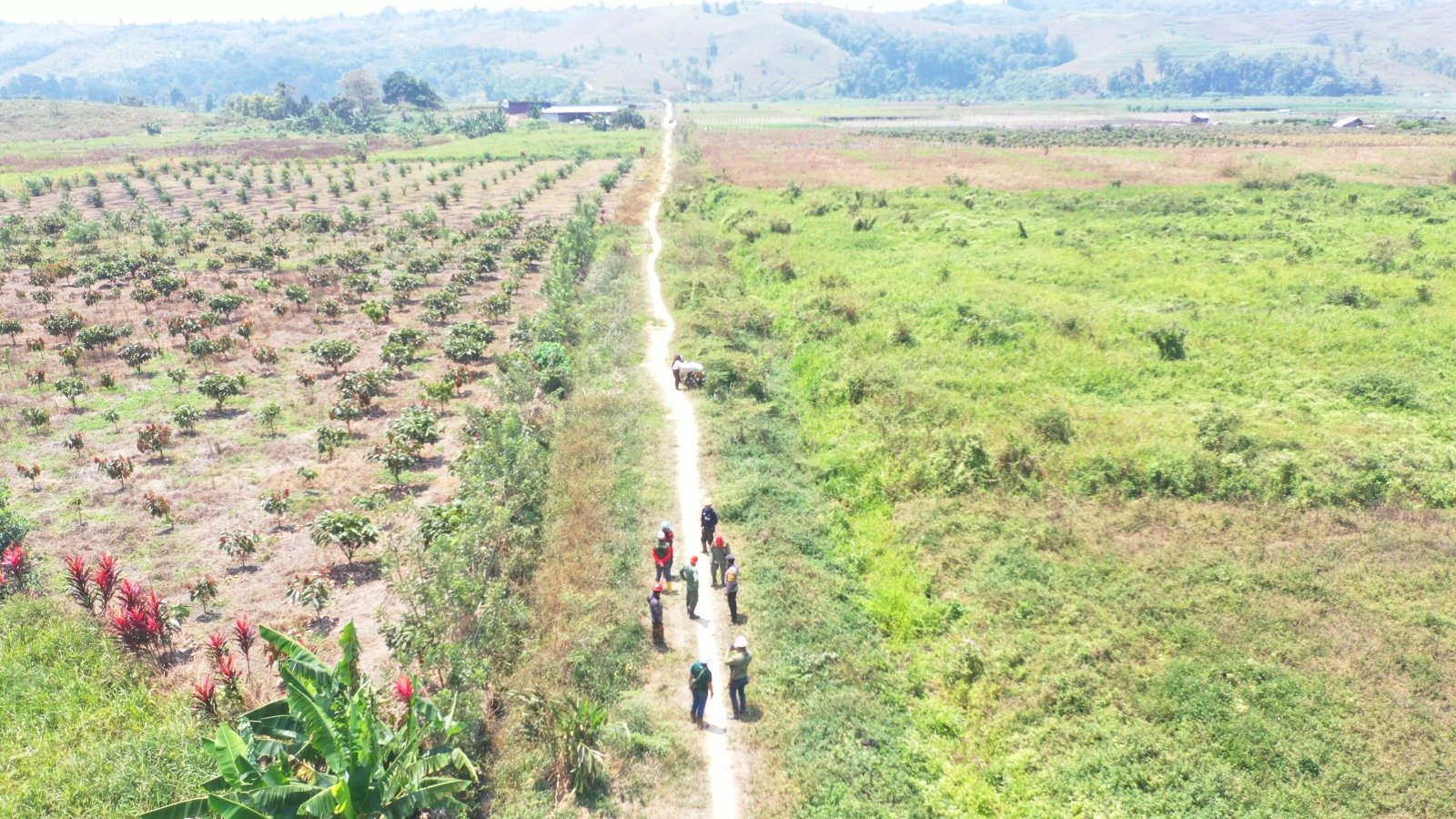 PT SJA2 Gelar Patroli Bersama KPH Sinmar Poso dan Babinkamtibmas Cegah Karhutla