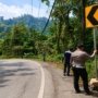 Cegah Kecelakaan, Satlantas Polres dan Dishub Morut Pasang Rambu Chevron di Tanjakan Balaba Uelene