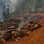 Sampah di TPA Lambolo Dibakar, Benarkah Ada Limbah Medis yang Dibuang Sembarangan?
