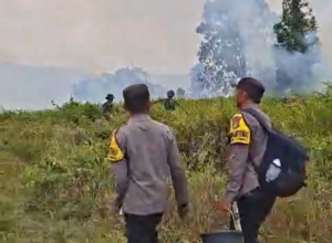 Breaking News: Kebakaran Lahan Kosong Terjadi di Desa Mandula