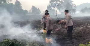 Hampir Lima Jam Tim Gabungan Padamkan Kebakaran Enam Hektare Lahan di Mandula, Polisi Periksa Sejumlah Saksi
