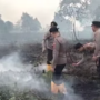 Hampir Lima Jam Tim Gabungan Padamkan Kebakaran Enam Hektare Lahan di Mandula, Polisi Periksa Sejumlah Saksi