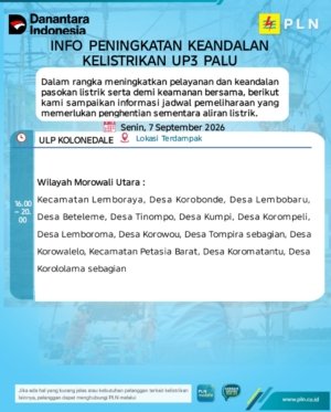 Jadwal Mati Lampu Malam Ini, 12 Desa di Morowali Utara Terdampak Pemadaman