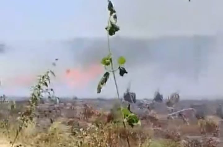 Kebakaran Lahan Melanda Peleru, Angin Kencang Membuat Api Cepat Meluas