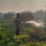PT SJA2 Bantu Padamkan Kebakaran Lahan di Desa Matialemba
