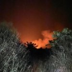 BREAKING NEWS: Kawasan Danau Tiu Terbakar, Api Merambat Cepat di Perkebunan Sawit