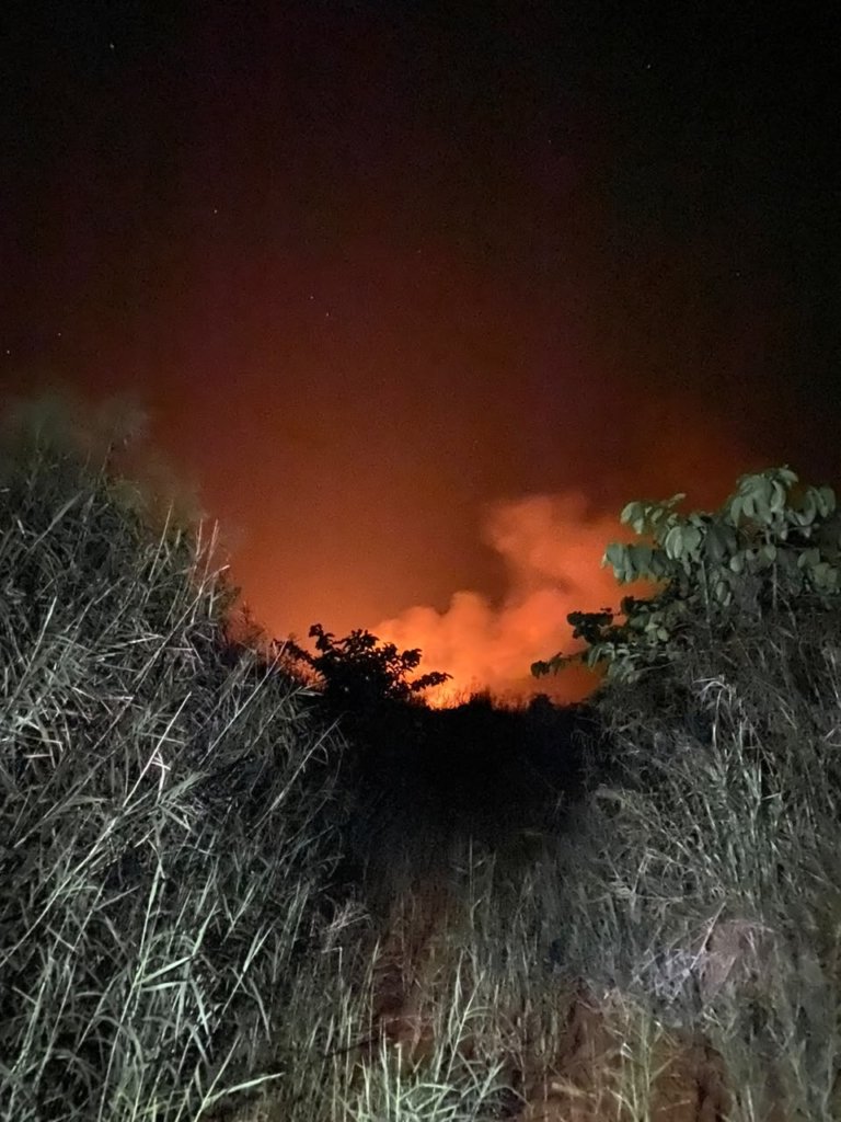 BREAKING NEWS: Kawasan Danau Tiu Terbakar, Api Merambat Cepat di Perkebunan Sawit