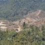 Diduga Tidak Kantongi HGU, PT Bhayr Multi Morowali Lakukan Penggundulan Hutan di Soyojaya