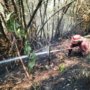 Kerja Berat Tim Damkar Morut, Enam Titik Kebakaran Lahan Terjadi dalam Sehari