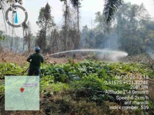 PT CAN dan Polisi Respons Cepat Padamkan Kebakaran Lahan di Petumbea