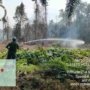 PT CAN dan Polisi Respons Cepat Padamkan Kebakaran Lahan di Petumbea
