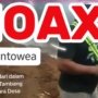 Pemdes Tontowea Tegaskan Video Ini HOAX