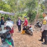 Diduga Ada Aktivitas Ilegal Logging di Uluanso Tua