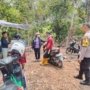 Diduga Ada Aktivitas Ilegal Logging di Uluanso Tua