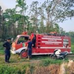 Kebakaran Lahan Sawit di Moleono, Mobil Damkar Tak Bisa Tembus Lokasi Akibat Jalan Rusak