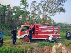 Kebakaran Lahan Sawit di Moleono, Mobil Damkar Tak Bisa Tembus Lokasi Akibat Jalan Rusak