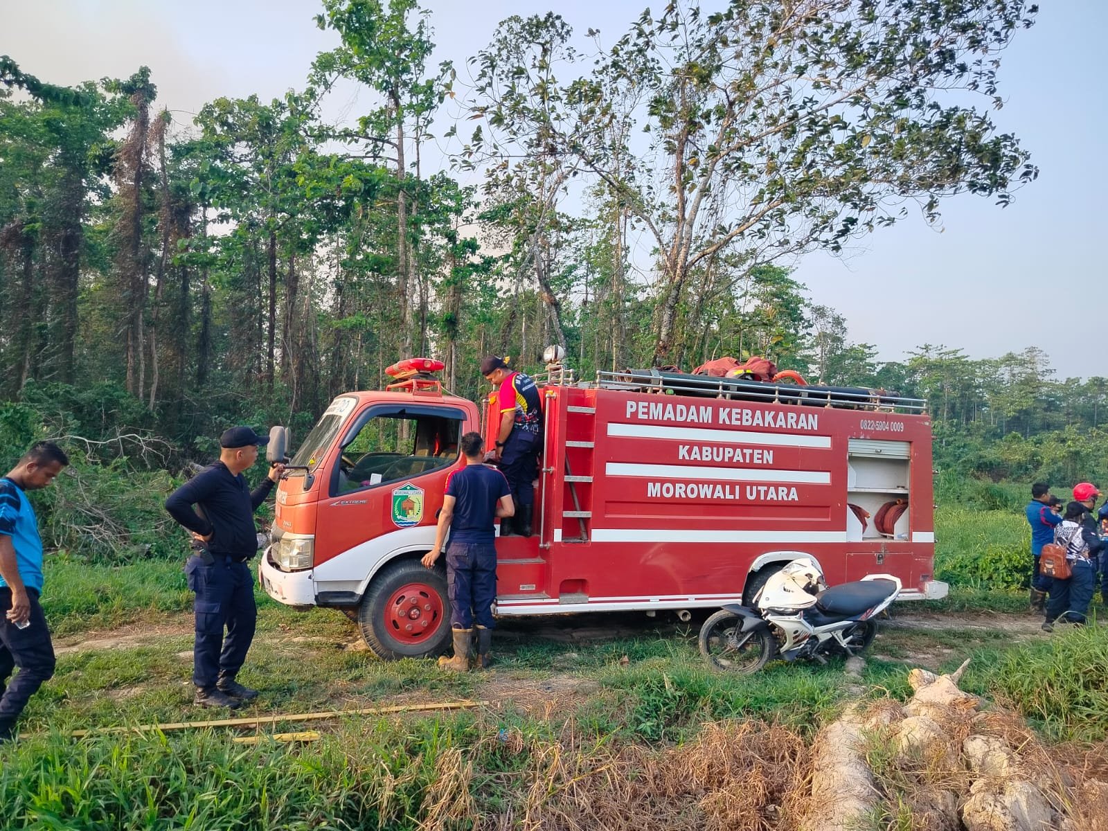 Kebakaran Lahan Sawit di Moleono, Mobil Damkar Tak Bisa Tembus Lokasi Akibat Jalan Rusak