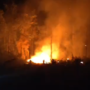 Video kebakaran di Hutan Cagar Alam Desa Tokala Atas. Diduga Sengaja Dibakar