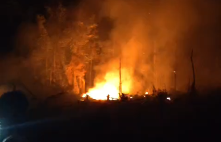 Video kebakaran di Hutan Cagar Alam Desa Tokala Atas. Diduga Sengaja Dibakar